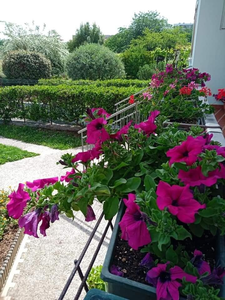 La Cjase Di Pieri E Vilme Bed & Breakfast Udine Dış mekan fotoğraf